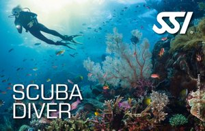 Scuba Diver_Curacao