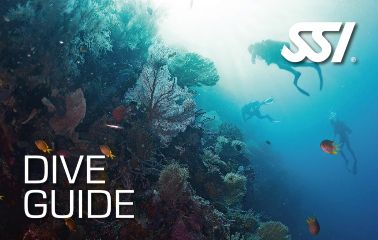 SSI_Dive_guide_Duikcentrum van de Ven_ Curacao