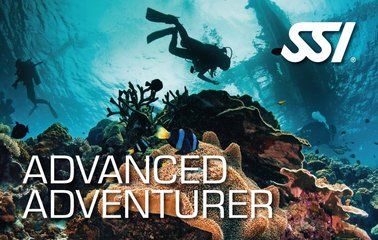 SSI_Advanced_Adventurer