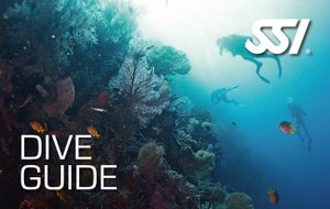 SSI Dive Guide Curacao