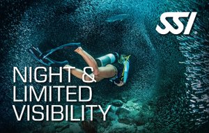 Night Diving & Limited visibility Curacao