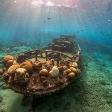 Duiken Tugboat - Curacao - Duikcentrum van de Ven - © Peter Meijer