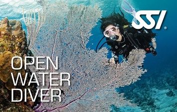 SSI Open Water Diver Curacao_Duikcentrum van de Ven