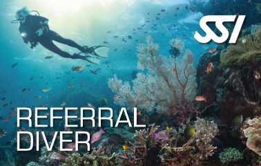 SSI Referral Diver Curacao