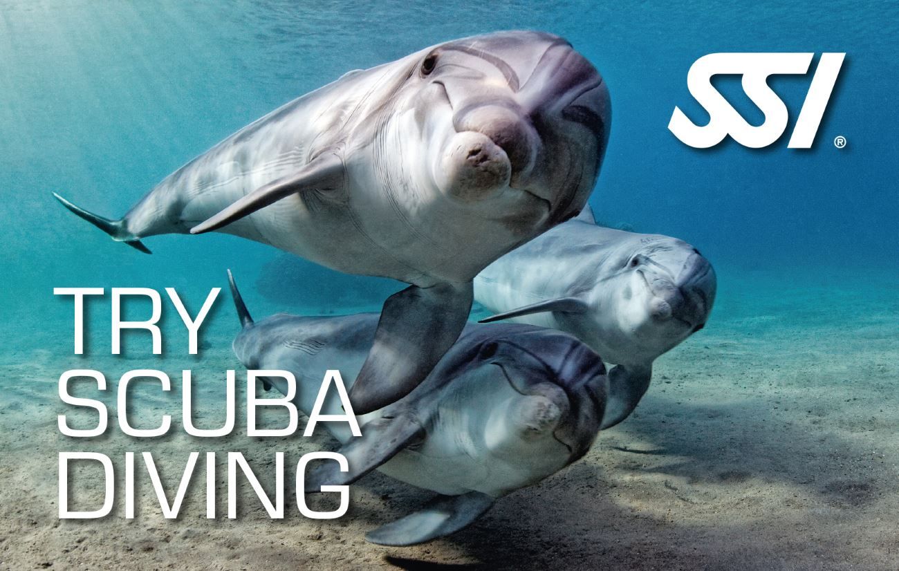 Try Scuba Diving ( Introductieduik )
